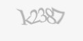 FORM_CAPTCHA
