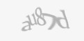 FORM_CAPTCHA