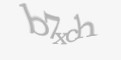 FORM_CAPTCHA