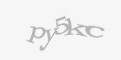 FORM_CAPTCHA