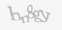 FORM_CAPTCHA