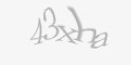 FORM_CAPTCHA