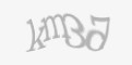 FORM_CAPTCHA