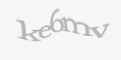 FORM_CAPTCHA
