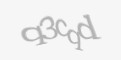 FORM_CAPTCHA